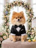 Small Dog Wedding Tuxedo Set