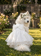 Matte Satin Wedding Dress for Medium to Large Dogs - ForPawMoment