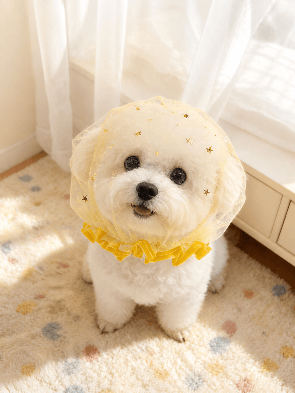 Starry Mesh Anti Scavenging Snood for Small Dogs - ForPawMoment