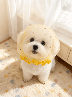 Starry Mesh Anti Scavenging Snood for Small Dogs - ForPawMoment
