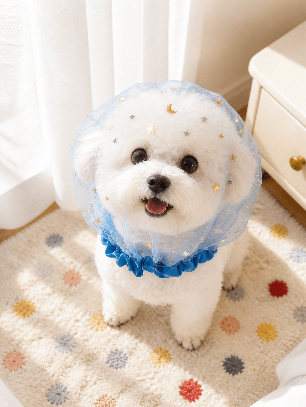 Starry Mesh Anti Scavenging Snood for Small Dogs - ForPawMoment