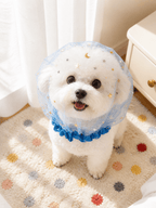 Starry Mesh Anti Scavenging Snood for Small Dogs - ForPawMoment