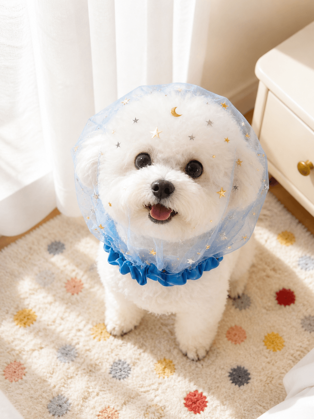 Starry Mesh Anti Scavenging Snood for Small Dogs - ForPawMoment