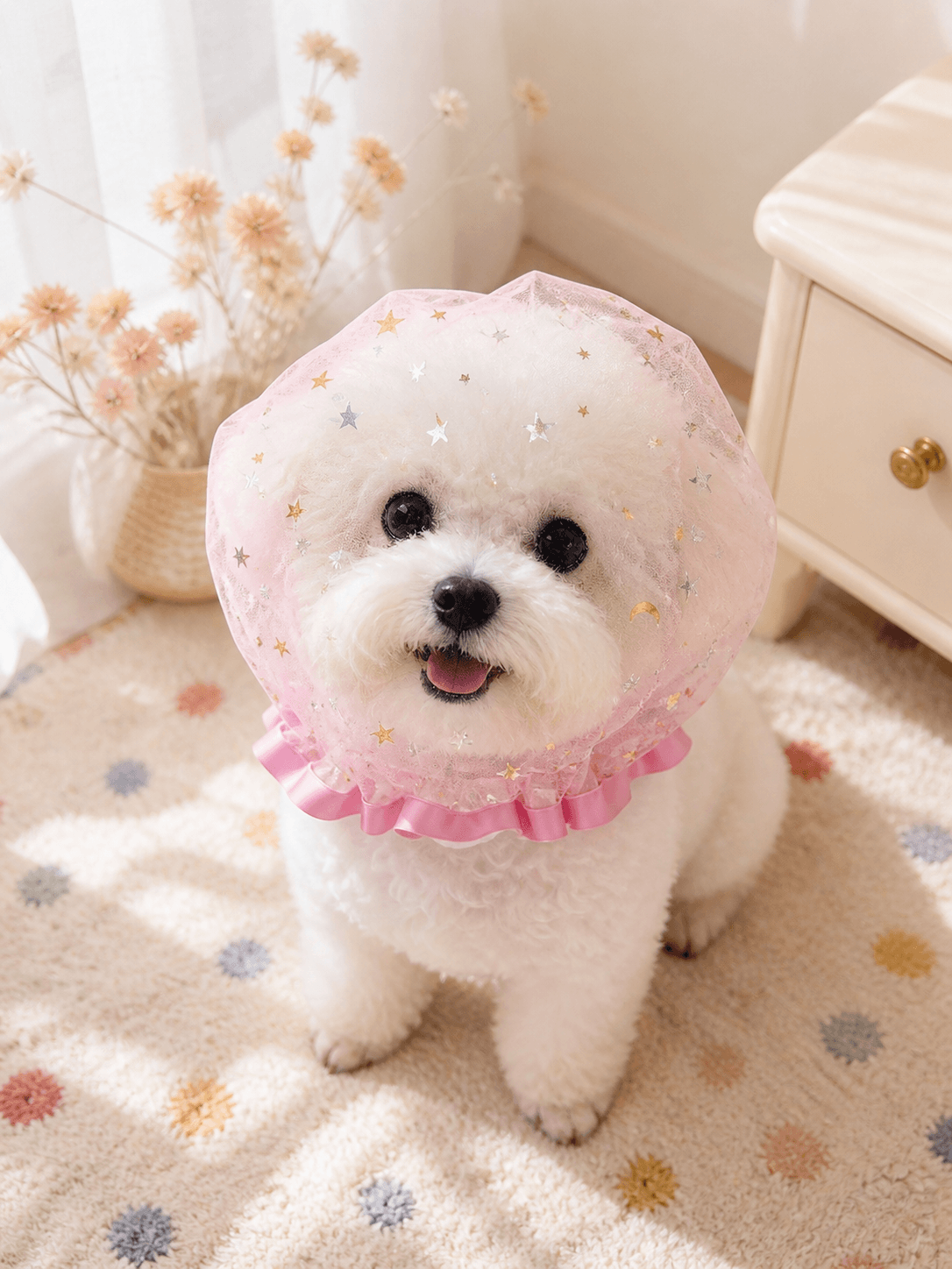 Starry Mesh Anti Scavenging Snood for Small Dogs - ForPawMoment